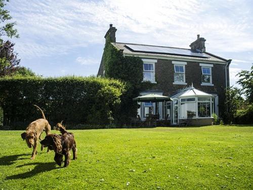 Dowfold House Bed And Breakfast Crook  Exteriör bild